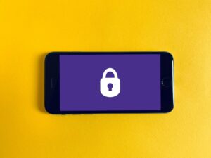 UK Security Principles